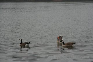 IMG_4837.JPG