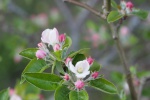 P4040158