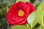 P5010057