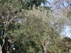 IMG_4900.JPG