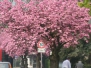 Frühling 2009