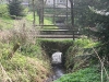 20090413_Gamersbachermuehle003.jpg