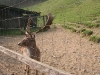 20090413_Gamersbachermuehle004.jpg