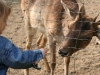 20090413_Gamersbachermuehle006.jpg