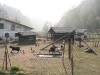 20090413_Gamersbachermuehle018.jpg