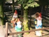 20090413_Gamersbachermuehle020.jpg