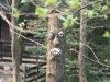 20090413_Gamersbachermuehle039.jpg