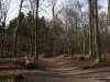 4_4_wald_saaler_muehle