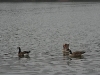 IMG_4837.JPG